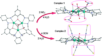 Graphical abstract: Macrocyclic ligand encapsulating dysprosium triangles: axial ligands perturbed magnetic dynamics