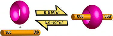 Graphical abstract: Pronounced pH effects on the kinetics of cucurbit[7]uril-based pseudorotaxane formation and dissociation