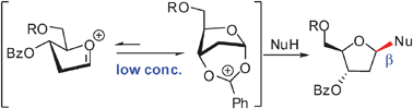 Graphical abstract: A dramatic concentration effect on the stereoselectivity of N-glycosylation for the synthesis of 2′-deoxy-β-ribonucleosides