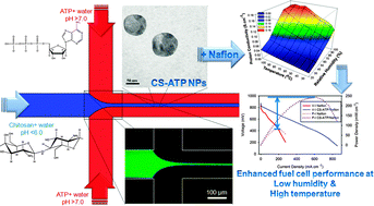 Graphical abstract: Microfluidic synthesis of chitosan-based nanoparticles for fuel cell applications