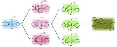 Graphical abstract: Highly modular access to functionalised metal-carbenes via post-modifications of a single bromoalkyl-substituted NHC–Pd(ii) complex