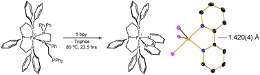 Graphical abstract: Investigation of formally zerovalent Triphos iron complexes