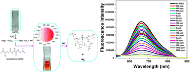 Graphical abstract: Synthesis of highly fluorescent water-soluble silver nanoparticles for selective detection of Pb(ii) at the parts per quadrillion (PPQ) level