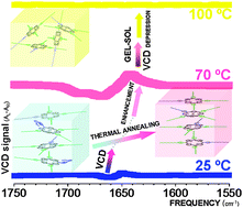 Graphical abstract: Electronic and vibrational circular dichroism spectroscopies for the understanding of chiral organization in porphyrin aggregates