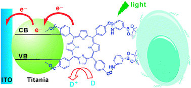 Graphical abstract: Cell surface carbohydrates evaluation via a photoelectrochemical approach