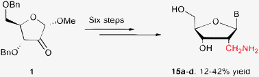 Graphical abstract: Efficient synthesis of 2′-C-α-aminomethyl-2′-deoxynucleosides