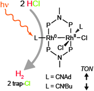 Graphical abstract: Stability-enhanced hydrogen-evolving dirhodium photocatalysts through ligand modification