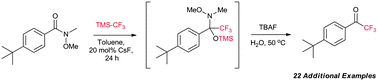 Graphical abstract: A Weinreb amide approach to the synthesis of trifluoromethylketones