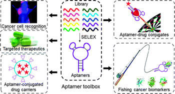 Graphical abstract: Nucleic acid aptamers: an emerging frontier in cancer therapy