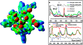 Graphical abstract: A hydrogen bond scaffold supported synthetic heme FeIII–O2− adduct