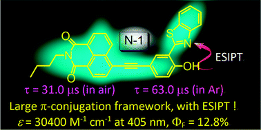 Graphical abstract: New excited state intramolecular proton transfer (ESIPT) dyes based on naphthalimide and observation of long-lived triplet excited states