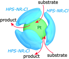 Graphical abstract: Hydrophobicity/hydrophilicity tunable hyperbranched polystyrenes as novel supports for transition-metal nanoparticles