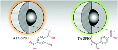 Graphical abstract: Surface design of core–shell superparamagnetic iron oxide nanoparticles drives record relaxivity values in functional MRI contrast agents
