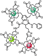 Graphical abstract: Preparation and study of an f,f,f′,f′′ covalently linked tetranuclear hetero-trimetallic complex – a europium, terbium, dysprosium triad