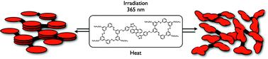 Graphical abstract: Switchable 3D networks by light controlled π-stacking of azobenzene macrocycles