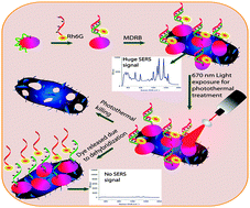 Graphical abstract: Designing distance dependent SERS assay for monitoring photothermal antibacterial activity response