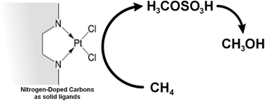 Graphical abstract: Direct methane oxidation over Pt-modified nitrogen-doped carbons