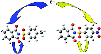 Graphical abstract: Dissociation of aryl sulfonyl phthalimide radical anions: relevance to the biological activity of aryl sulfonyl amides