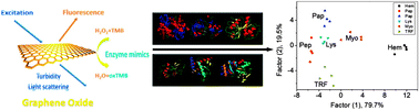 Graphical abstract: Lab-on-graphene: graphene oxide as a triple-channel sensing device for protein discrimination