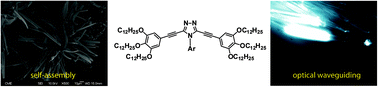 Graphical abstract: Optical waveguides from 4-aryl-4H-1,2,4-triazole-based supramolecular structures
