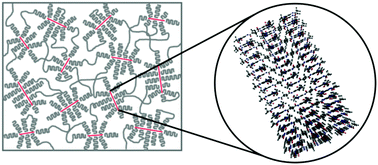 Graphical abstract: Probing self-assembled 1,3,5-benzenetrisamides in isotactic polypropylene by 13C DQ solid-state NMR spectroscopy