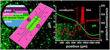 Graphical abstract: Microfluidic free-flow electrophoresis chips with an integrated fluorescent sensor layer for real time pH imaging in isoelectric focusing