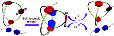 Graphical abstract: Synthesis of a water-soluble bis(m-phenylene)-32-crown-10-based cryptand and its pH-responsive binding to a paraquat derivative