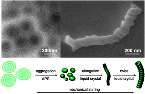 Graphical abstract: Conductive polyaniline helixes self-assembled in the absence of chiral dopant