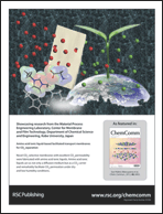 Graphical abstract: Back cover