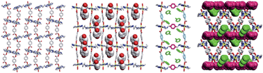 Graphical abstract: Guest-dependent host structures and host-induced guest assemblies
