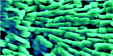 Graphical abstract: Biopolymer mediated synthesis of plate-like YBCO with enhanced grain connectivity and intragranular critical current