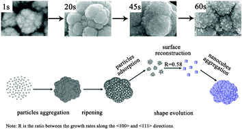 Graphical abstract: Nanocube-aggregated cauliflower-like copper hierarchical architectures: synthesis, growth mechanism and electrocatalytic activity