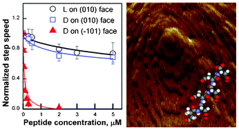 Graphical abstract: Growth inhibition of calcium oxalate monohydrate crystal by linear aspartic acid enantiomers investigated by in situ atomic force microscopy