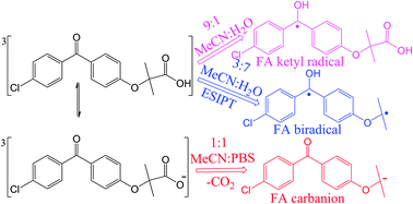 Graphical abstract: A time-resolved spectroscopy and density functional theory study of the solvent dependent photochemistry of fenofibric acid