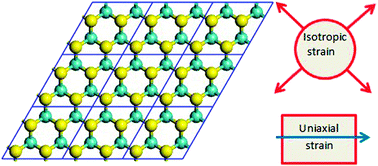 Graphical abstract: Strain-dependent electronic and magnetic properties of MoS2 monolayer, bilayer, nanoribbons and nanotubes