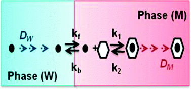 Graphical abstract: Some insights into the facilitated ion transfer voltammetric responses at ITIES exhibiting interfacial and bulk membrane kinetic effects