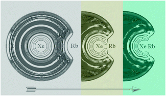 Graphical abstract: Helium nanodroplets doped with xenon and rubidium atoms: a case study of van der Waals interactions between heliophilic and heliophobic dopants