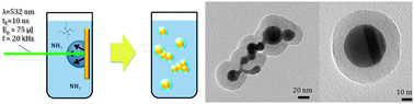 Graphical abstract: Coating of gold nanoparticles made by pulsed laser ablation in liquids with silica shells by simultaneous chemical synthesis