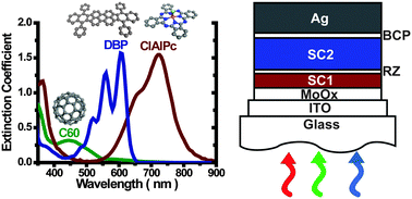Graphical abstract: Multijunction organic photovoltaics with a broad spectral response
