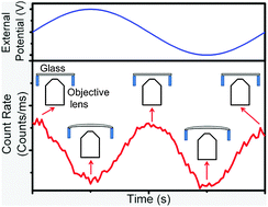 Graphical abstract: Other origins for the fluorescence modulation of single dye molecules in open-circuit and short-circuit devices
