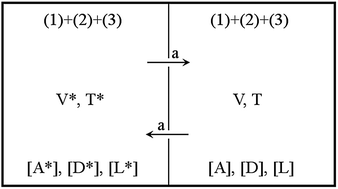 Graphical abstract: Mirror symmetry breaking with limited enantioselective autocatalysis and temperature gradients: a stability survey