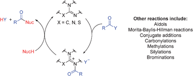 Graphical abstract: Amidines, isothioureas, and guanidines as nucleophilic catalysts