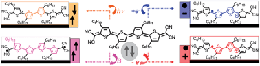 Graphical abstract: Quinoidal oligothiophenes: new properties behind an unconventional electronic structure