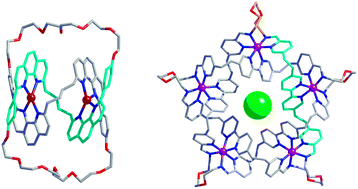 Graphical abstract: Template synthesis of molecular knots
