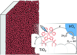 Graphical abstract: Design and development of photoanodes for water-splitting dye-sensitized photoelectrochemical cells