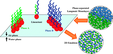 Graphical abstract: Colloids in Flatland: a perspective on 2D phase-separated systems, characterisation methods, and lineactant design