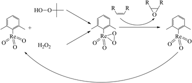 Graphical abstract: Xylyltrioxorhenium – the first arylrhenium(vii) oxide applicable as an olefin epoxidation catalyst