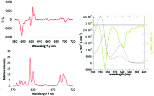 Graphical abstract: A chiral probe for the acute phase proteins alpha-1-acid glycoprotein and alpha-1-antitrypsin based on europium luminescence