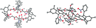 Graphical abstract: Metallacycles of cadmium, mercury dicarboxylates