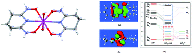 Graphical abstract: Sequestering uranium from seawater: binding strength and modes of uranyl complexes with glutarimidedioxime